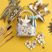 Fragrance World Nudo Exotic Flowers 100 ml