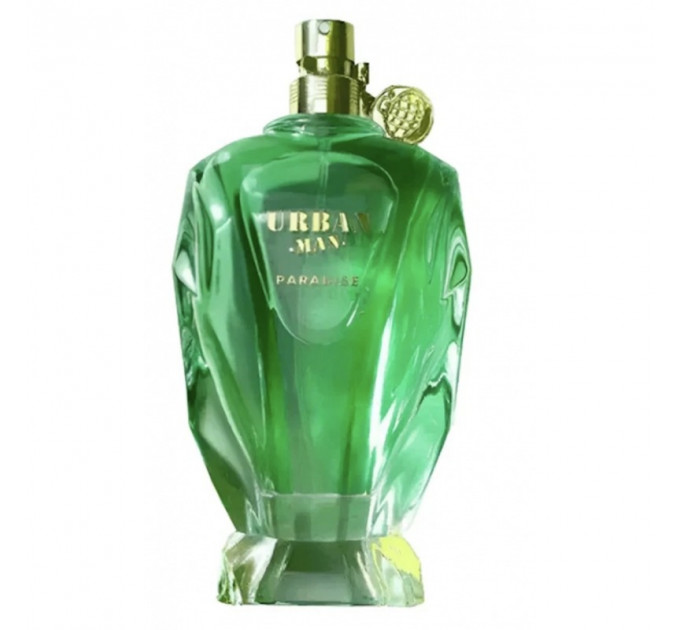 Fragrance World Urban Man Paradise 100 ml