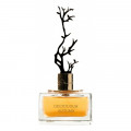 Aurora Scents Deciduous Autumn 100 ml