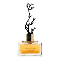 Aurora Scents Deciduous Autumn 100 ml