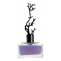 Aurora Scents Deciduous Winter 100 ml