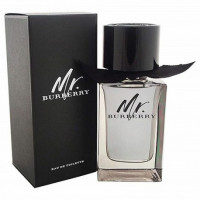 Burberry Mr. Burberry 100ml