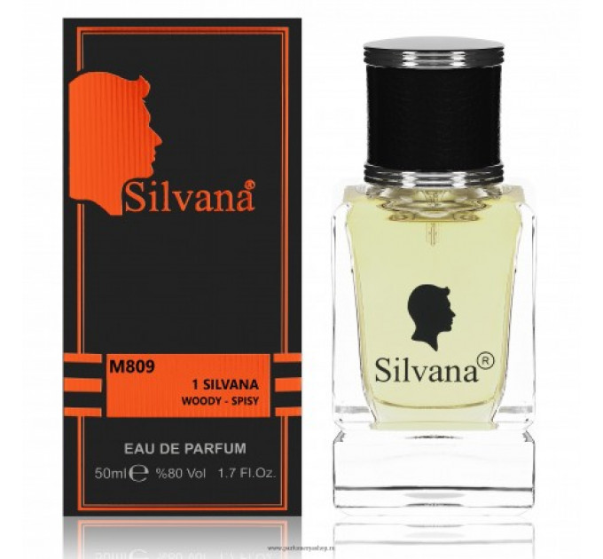 2121, SILVANA M809 1 SILVANA (PACO RABANNE 1 MILLION MEN) 50 ML, M809, 1 100.00 р., Silvana 50, Silvana, Парфюмерная вода Silvana
