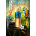 MONTALE TROPIСAL WOOD 100ml UNISEX